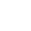 icons8 car 100